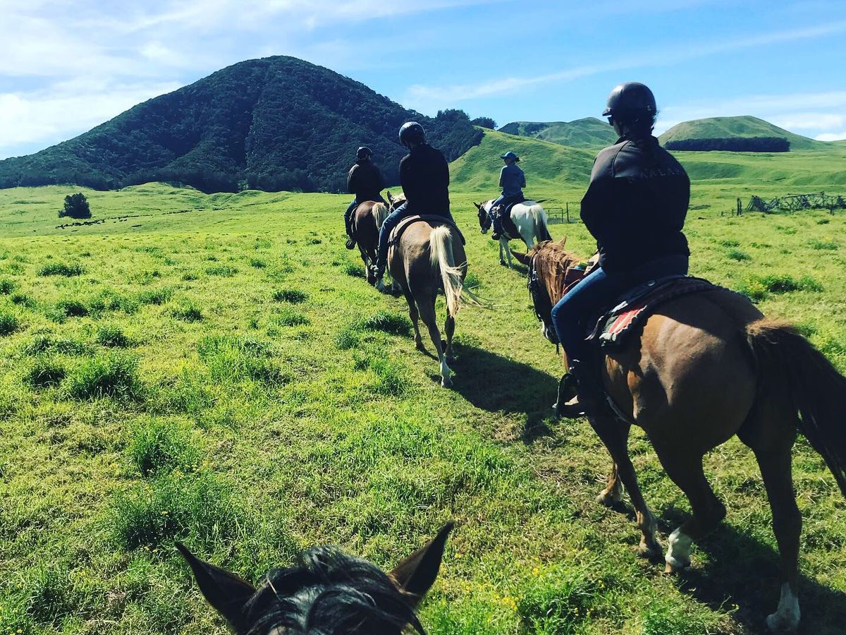 Page 42) Things to Do in Big Island in 2025 – Tours & Activities