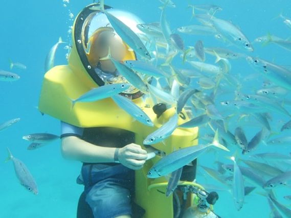 水中スクーター＆マウナルア湾パラダイスサンドバーシュノーケリング