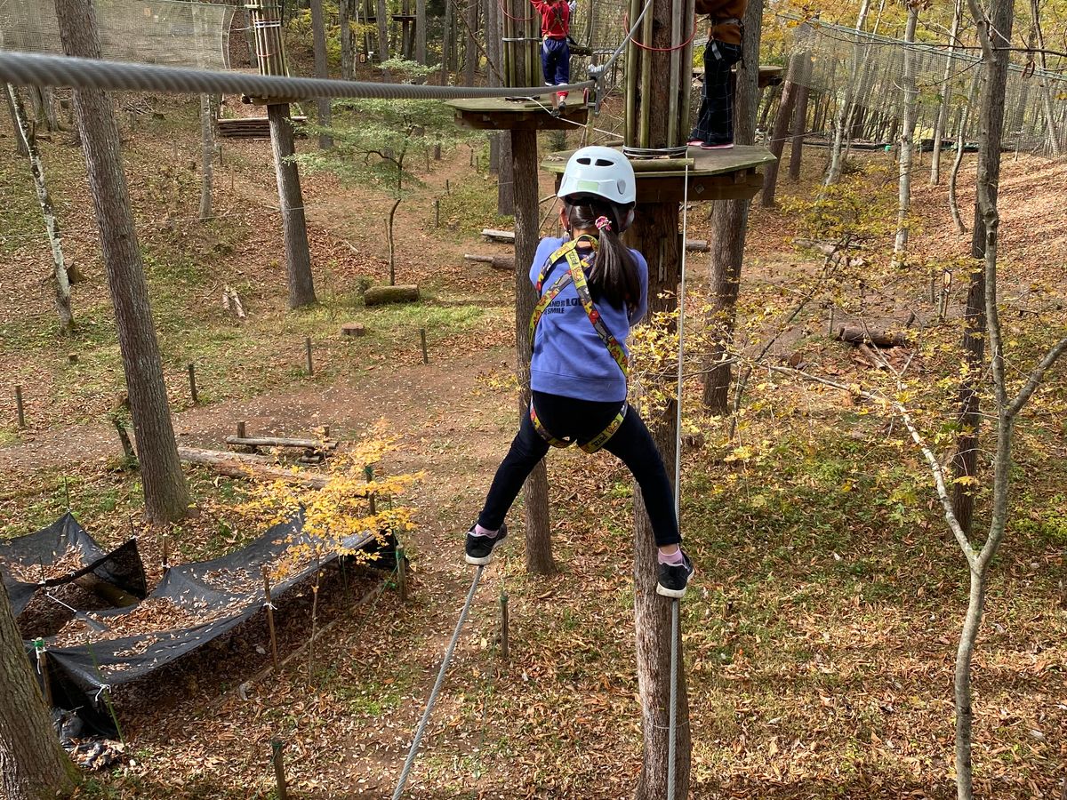 アスレチック「フォレストアドベンチャーこすげ」キャノピーコース