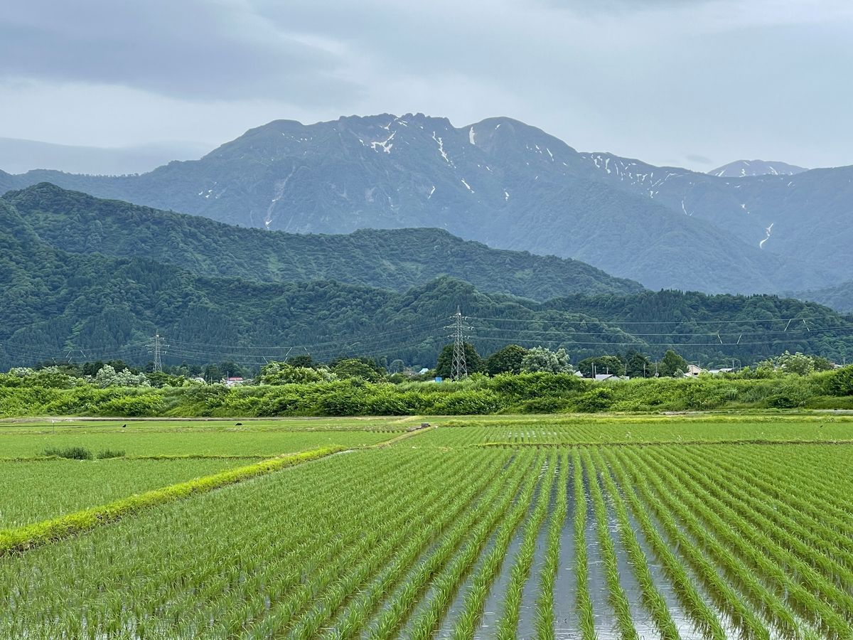 田んぼポタリング 田園風景の中を電動自転車でゆったり気ままな