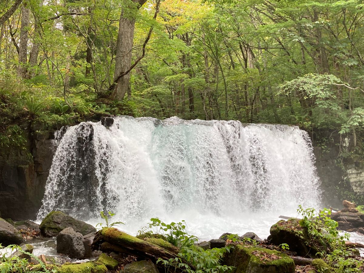 貸切観光タクシー 八甲田山と奥入瀬渓流散策コース＜八戸駅・八戸市内