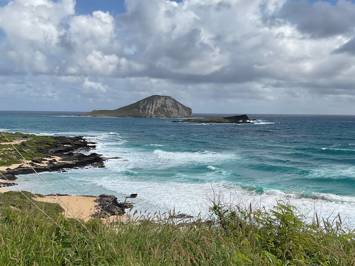 【お試し価格！】 Town, Haleiwa Famous 4) Page Reviews) All North (Top Shore ダーツ