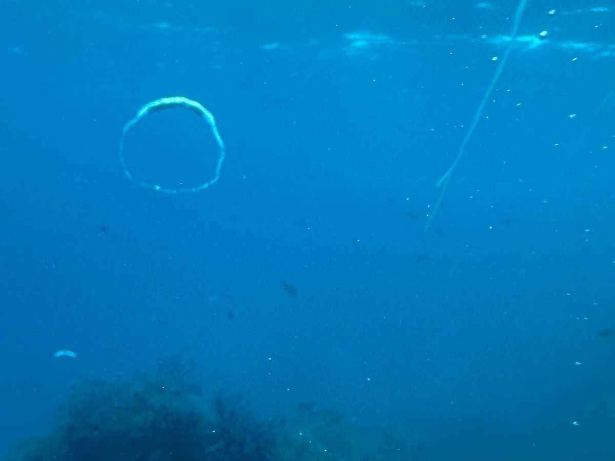 世界遺産アウターリーフ 水中バイク スキューバ・ドゥー 安全＆簡単