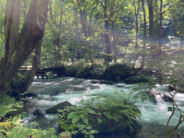 端渓 奥入瀬渓流ウォーキングツアー 十和田八幡平国立公園内石ヶ戸～雲井の