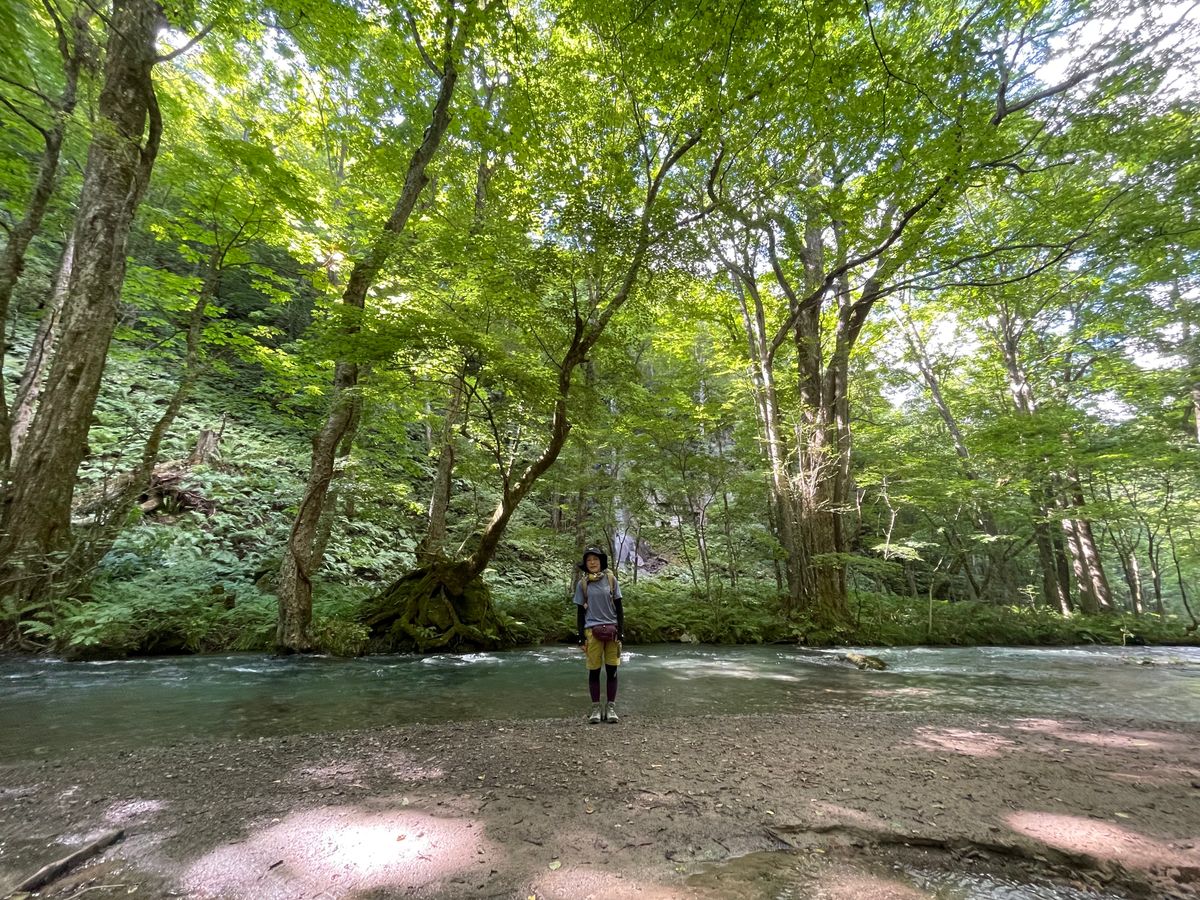 奥入瀬渓流ウォーキングツアー 十和田八幡平国立公園内石ヶ戸～雲井の