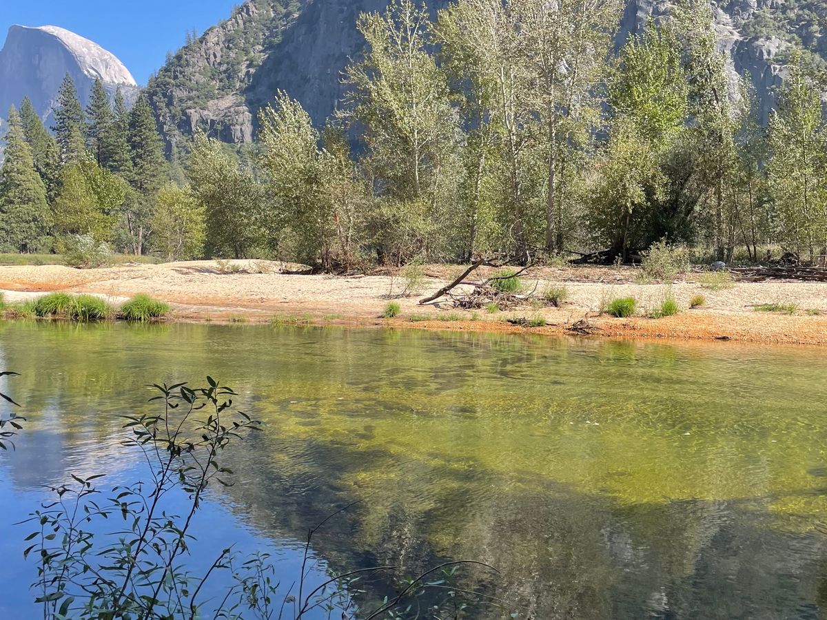 世界遺産ヨセミテ国立公園 日帰りツアー 定番スポットめぐり＆たっぷり