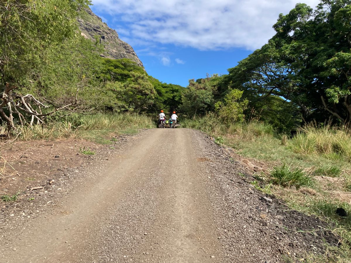 All Reviews) Page 27) Kualoa Ranch Jurassic Valley Tours