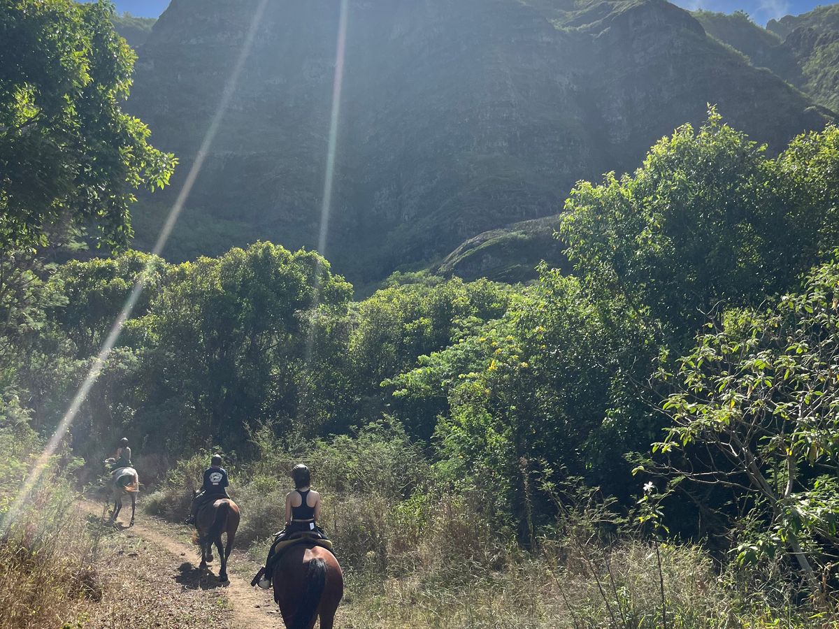 All Reviews) Page 27) Kualoa Ranch Jurassic Valley Tours