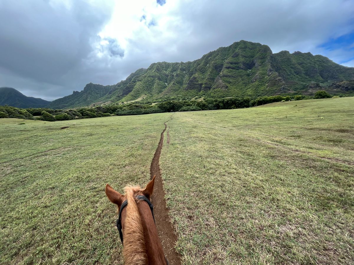 ヨコハマ　クロアツアー　1 All Reviews) Page 27) Kualoa Ranch Jurassic Valley Tours