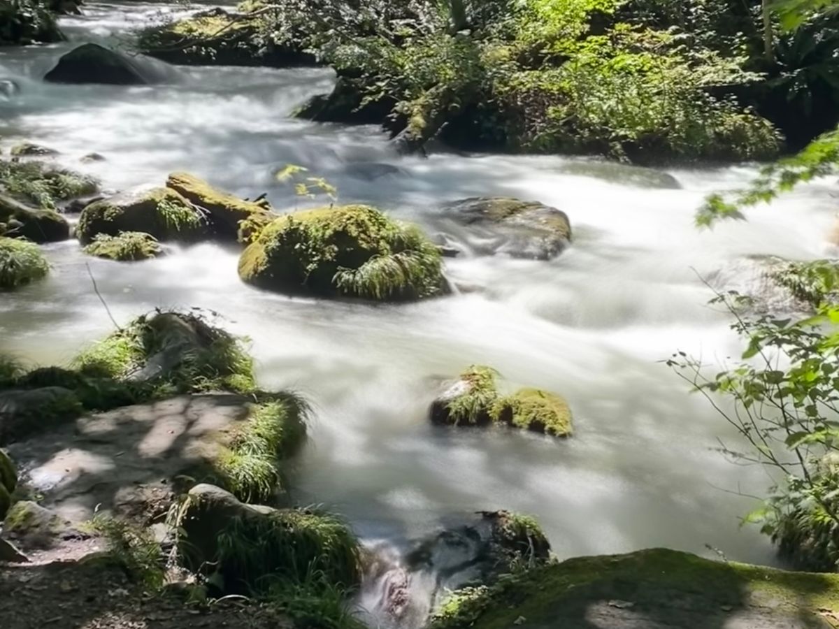 奥入瀬渓流ウォーキングツアー 十和田八幡平国立公園内石ヶ戸～雲井の