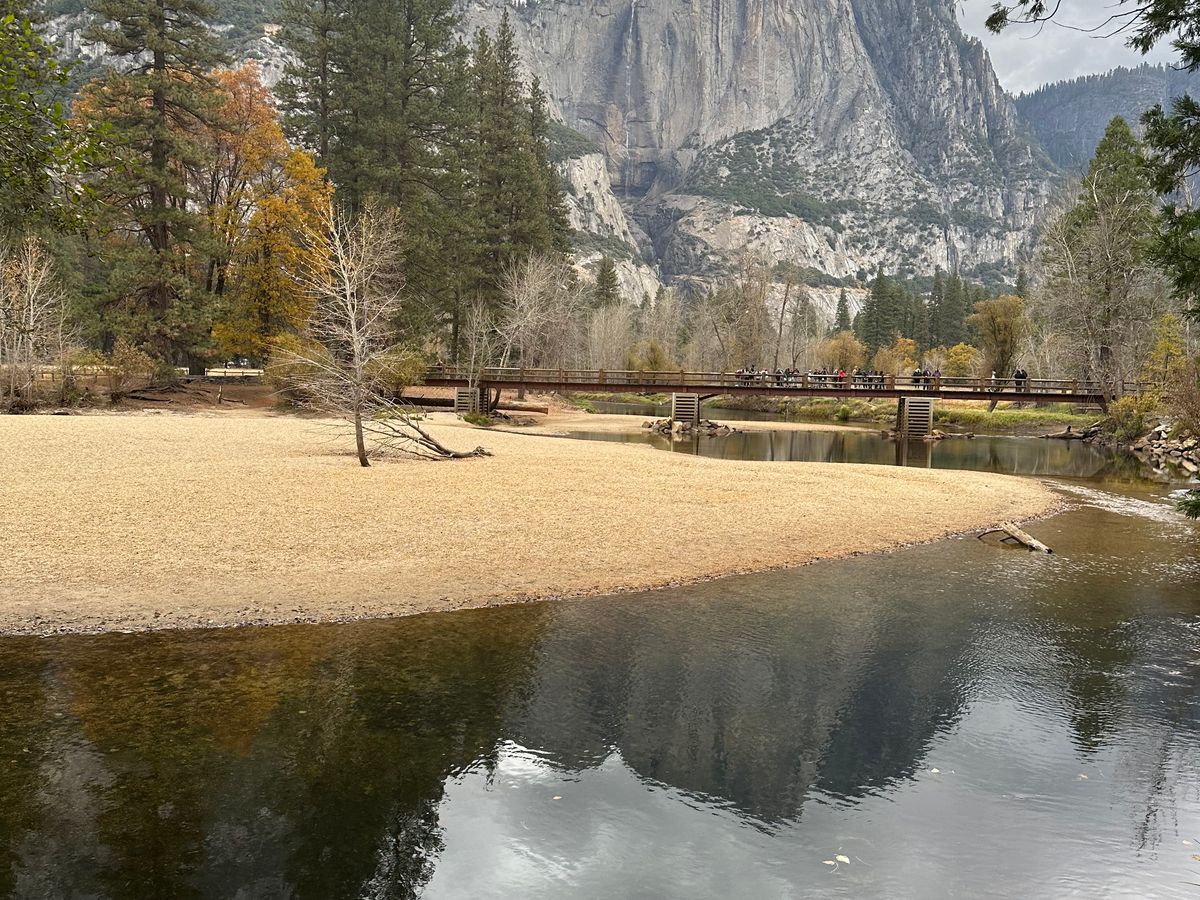 世界遺産ヨセミテ国立公園 日帰りツアー 定番スポットめぐり＆たっぷり
