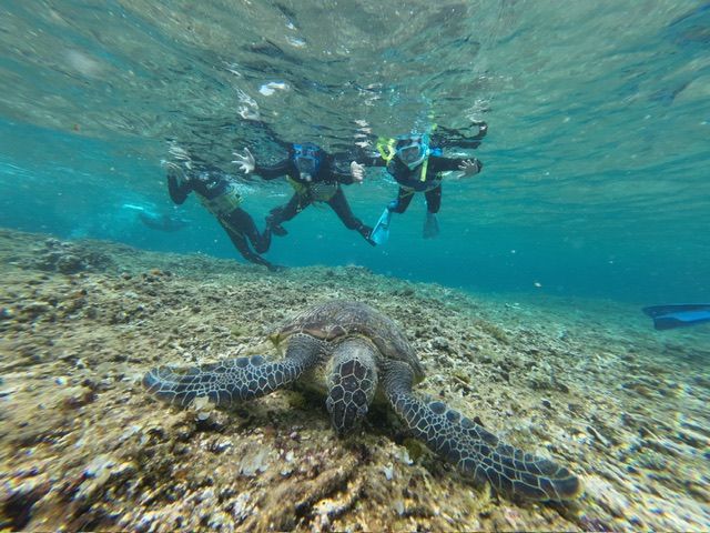 西表島マングローブカヤックツアー+ピナイサーラの滝トレッキング+