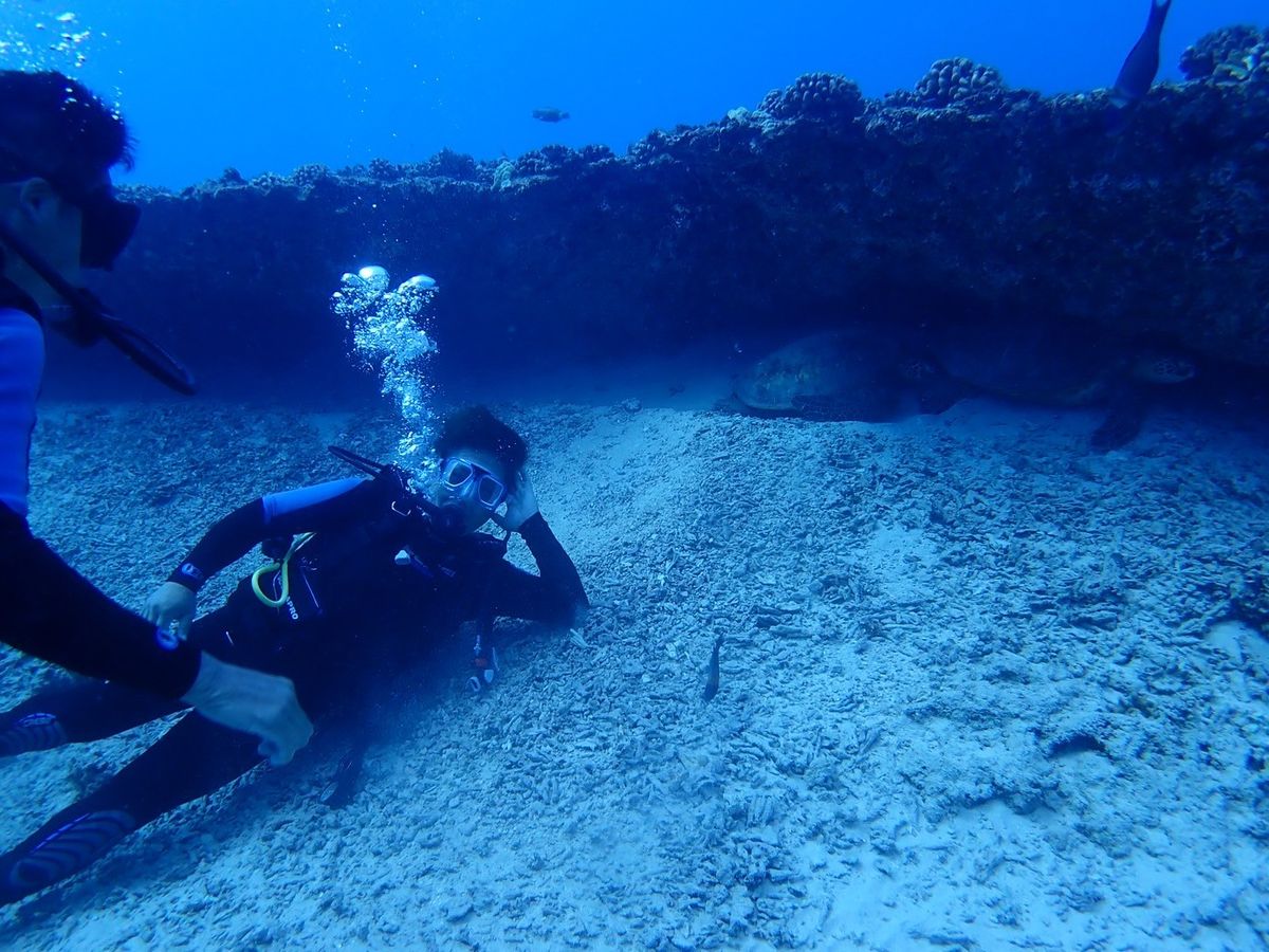 体験ダイビング ココヘッドが見える絶好のポイントで！＜ハワイカイ沖