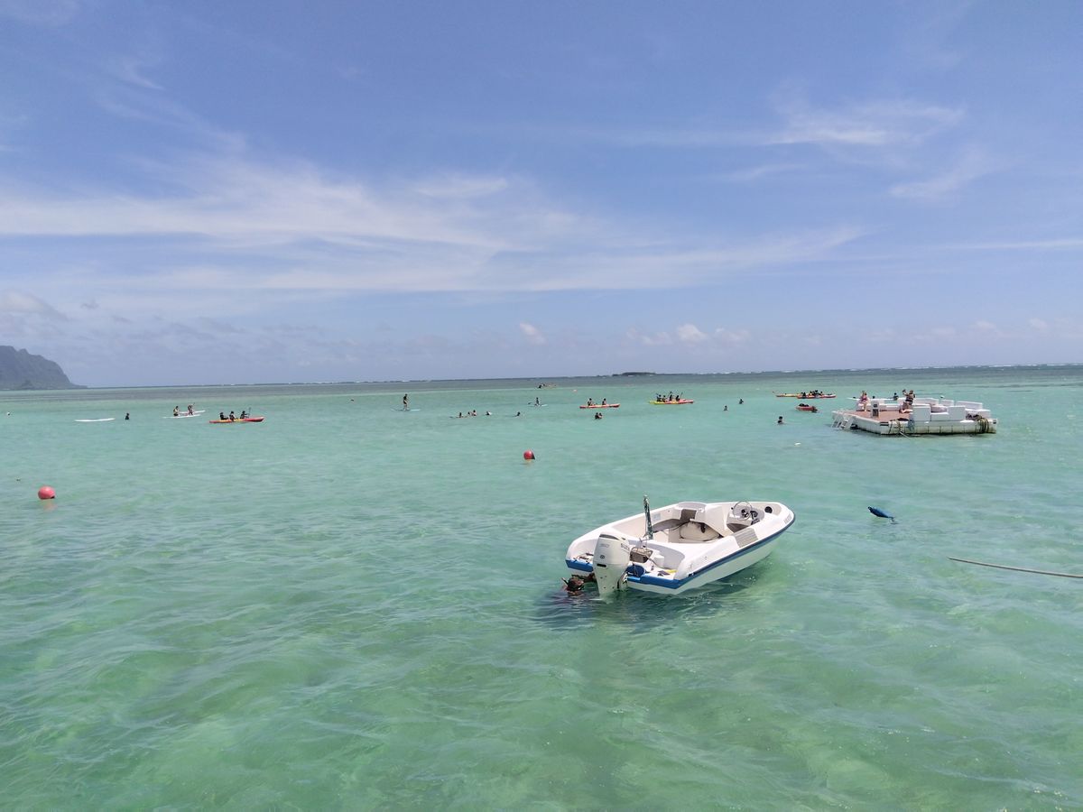 Page 117) Things to Do in Oahu in 2026 – Tours & Activities