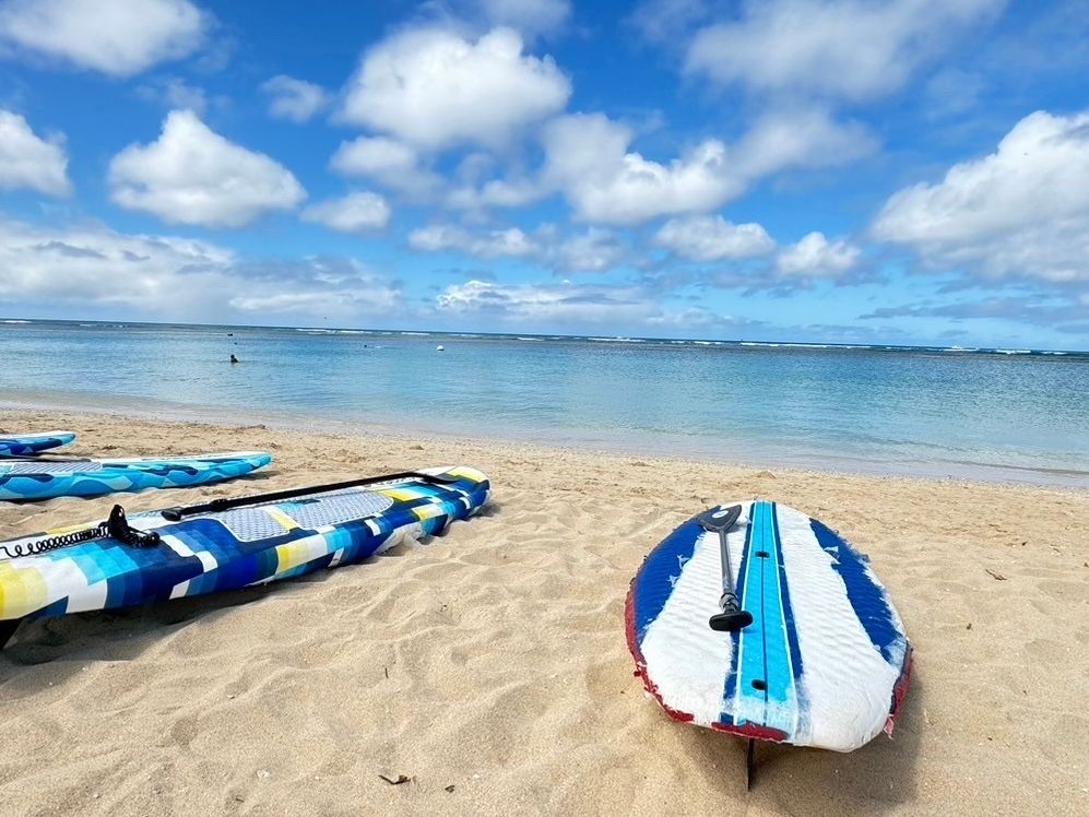 うさおさ　ハワイアン　セットアップB　⑩ aff3b8697257f58ead27c3a3305590