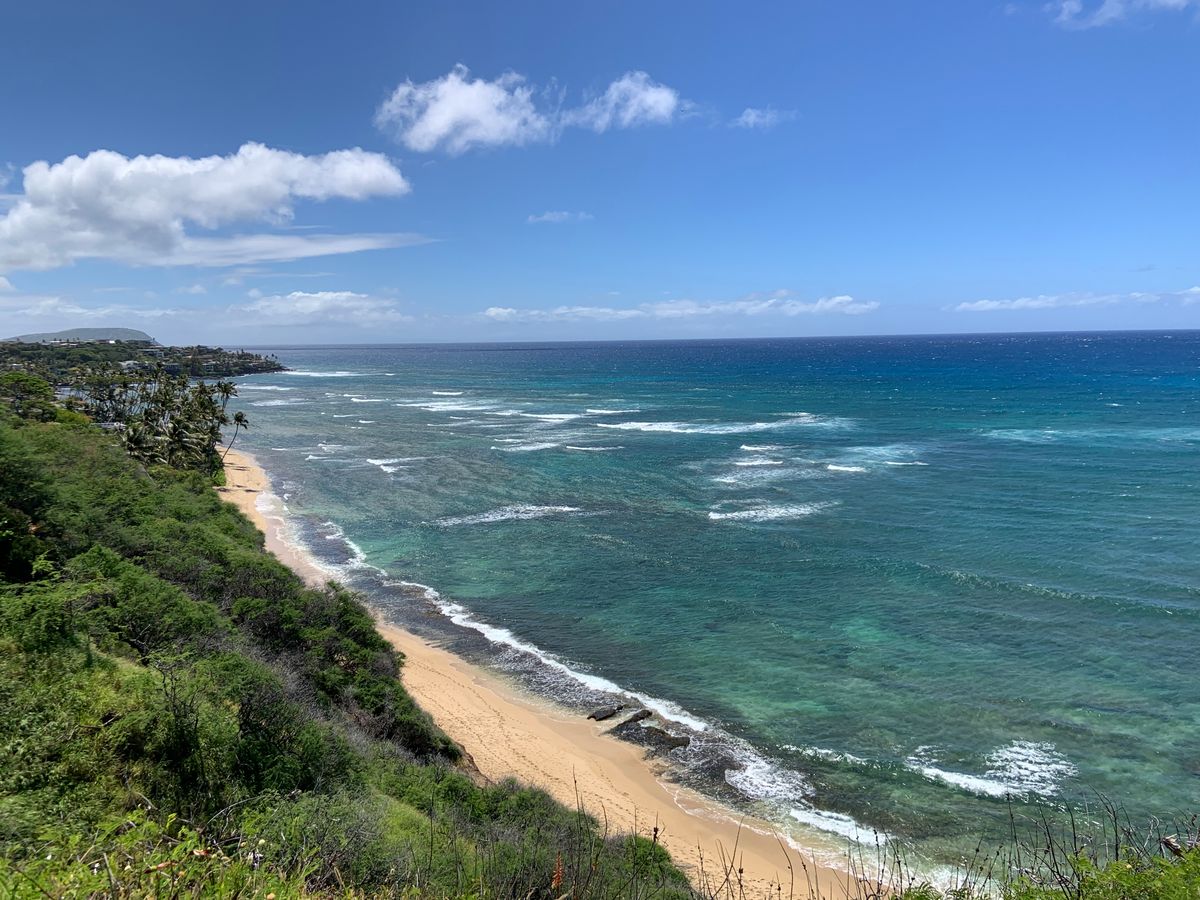 ワイキキトロリー ワイキキ巡回トロリーまたはミニバス 乗り放題1・4