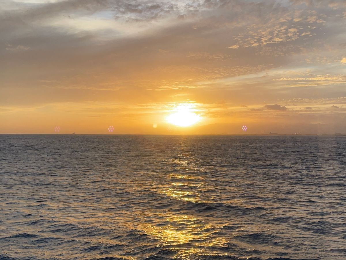 All Reviews) Page 15) Sunset Cruises Hawaii, Oahu tours