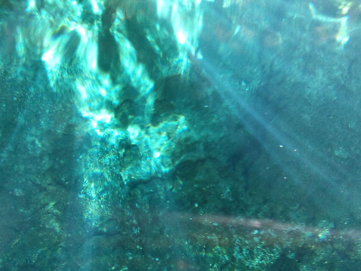 チチェン・イッツァ遺跡＋グランセノーテ＋セノーテイキル＜日本