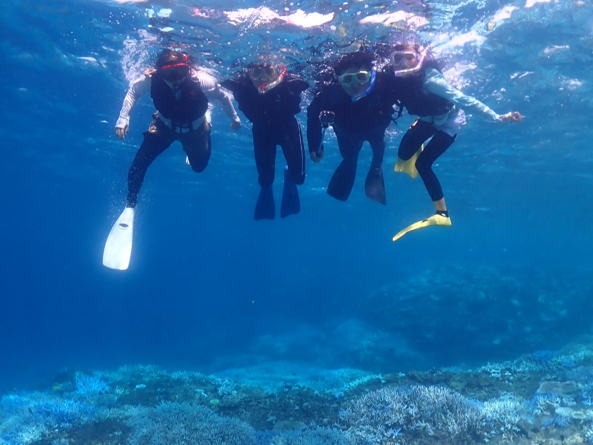 八重干瀬ダイビング | 宮古島 旅行の観光・オプショナルツアー予約