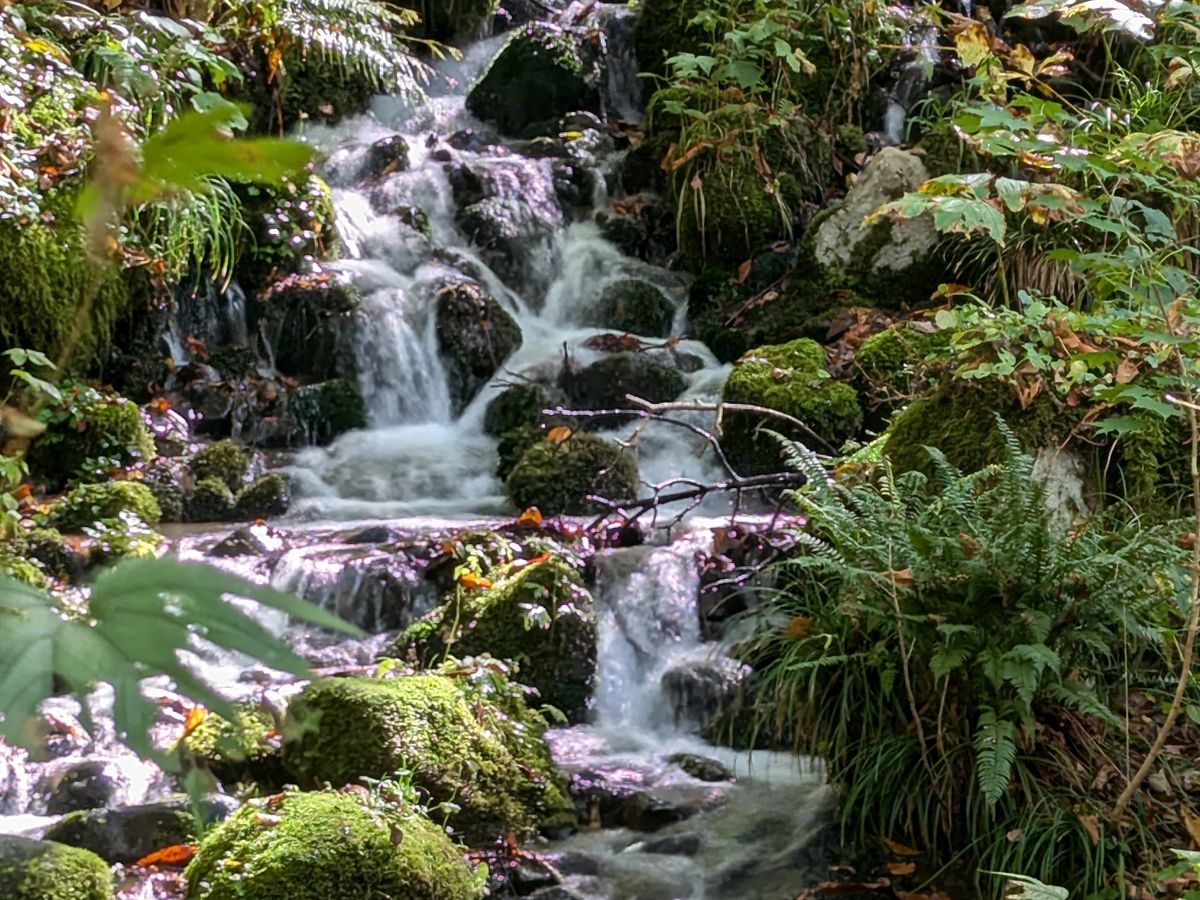 渓流 2025渓流釣り⑱_NEWエンハンサーで山岳渓流へ@山形 | 釣りマツの釣行記