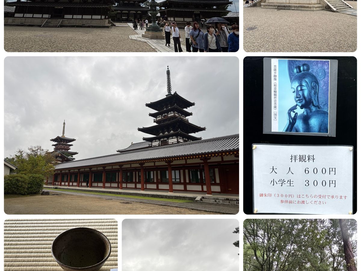 薬師寺大講堂 (観光情報) (観光情報) | 奈良観光 VELTRA(ベルトラ) 薬師寺大講堂 (観光情報) (観光情報) | 奈良観光 VELTRA(ベルトラ)