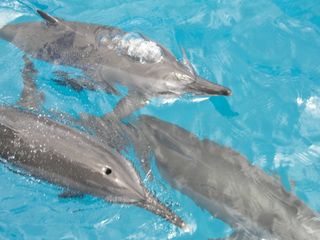 プラン説明写真1