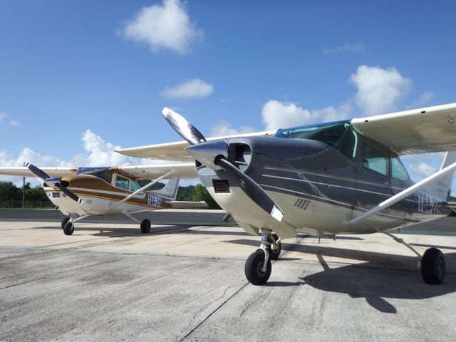 写真：コロール