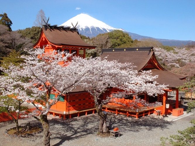 Mt. Fuji Tour from Shinjuku with Shiraito Falls | VELTRA