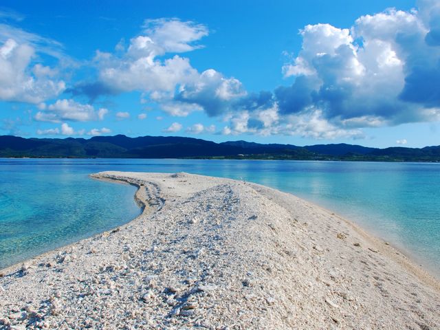 Half Day Coral Snorkeling on Barasu Island from Iriomote Island
