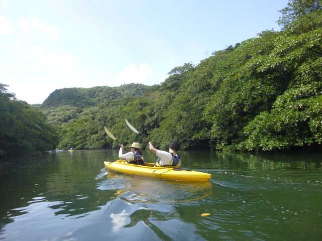 Mangrove Kayak and Pinaisara Falls Trekking Tour on Iriomote Island