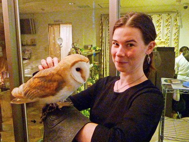 Reservations for an Owl Cafe in Harajuku