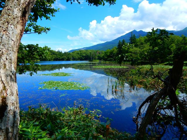 Shiretoko Five Lakes and Forest Hiking Tour