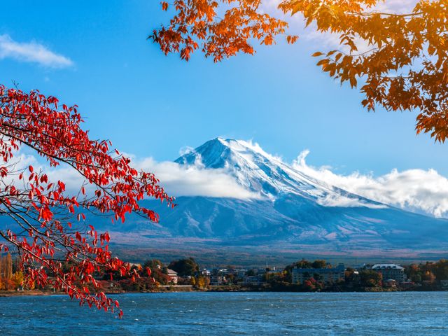 Mt.Fuji Viewing and Lake Kawaguchi Wheelchair-Friendly Tour from Tokyo