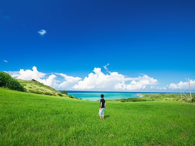 Chartered Sightseeing Taxi in Okinawa Main Island