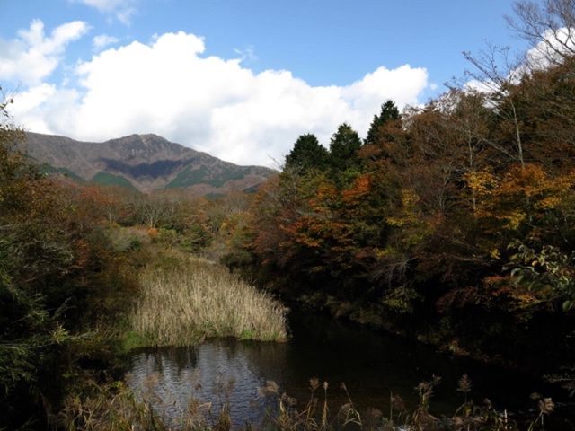 Mountain Bike Cruising Tour To Explore Abundant Nature of Hakone