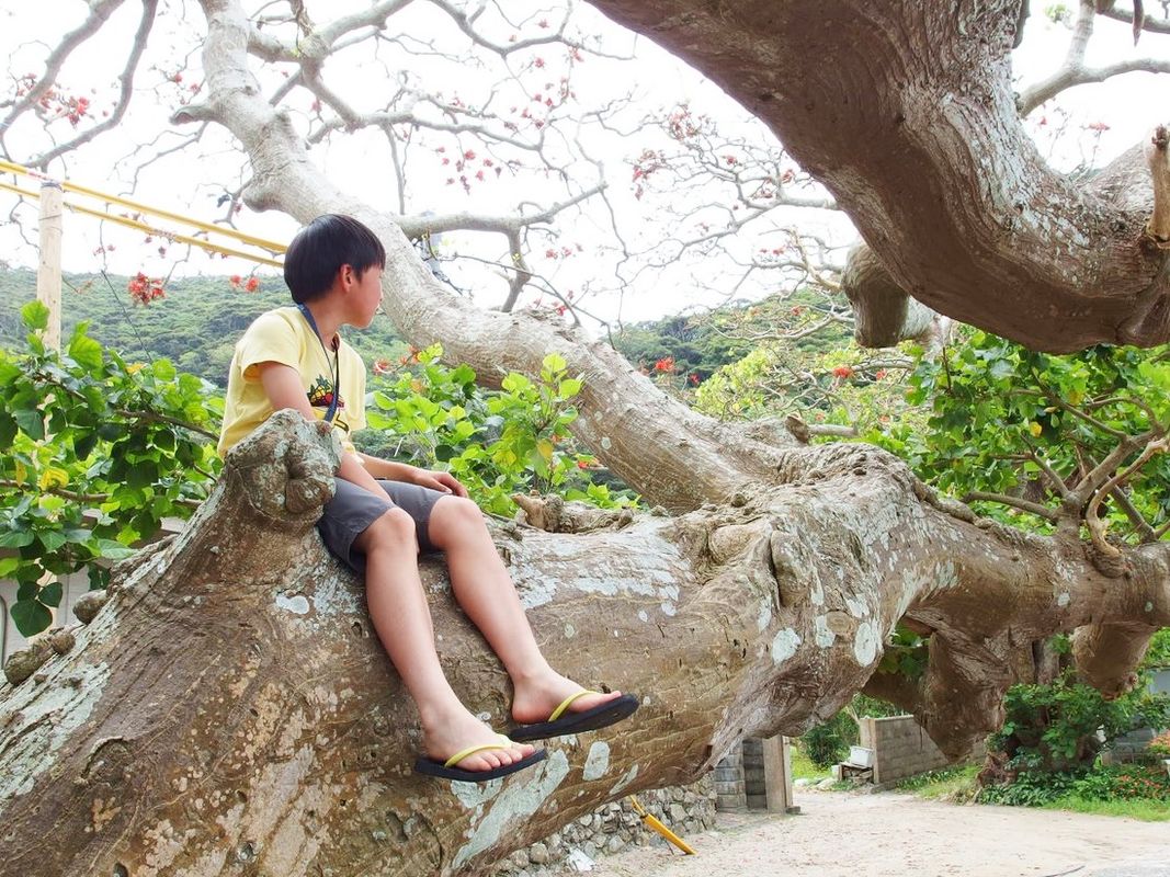 写真：加計呂麻島（かけろまじま）日帰り散策＆シュノーケルツアー　奄美大島からフェリー移動！＜5〜10月／奄美大島発＞ by スローガイド奄美
