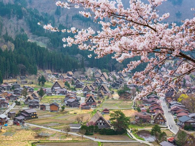 Nagoya to Shirakawago and Hida Takayama Day Trip with Free Time to Explore