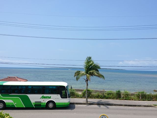 Ishigaki Island 3-Day Bus Free Pass: Unlimited Azuma Bus Rides