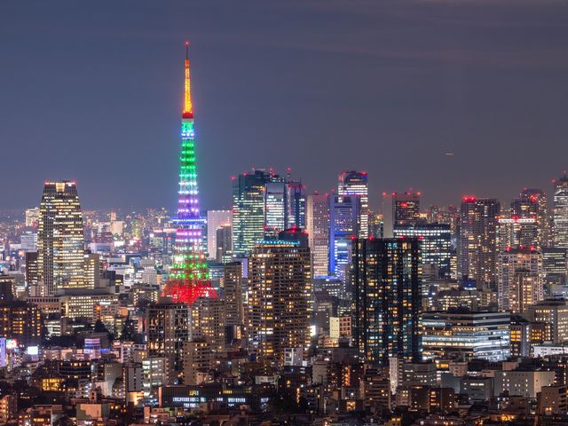 Tokyo Tower Observatory Main Deck (150m) Admission Ticket
