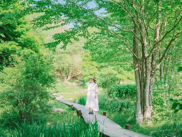 Rokko Forest Sound Museum Admission Ticket in Kobe