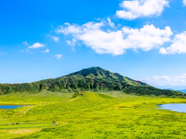 【From Aso to Kumamoto City】Private Taxi Tour: Takachiho & Aso Course