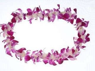 プラン説明写真1