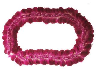 プラン説明写真1