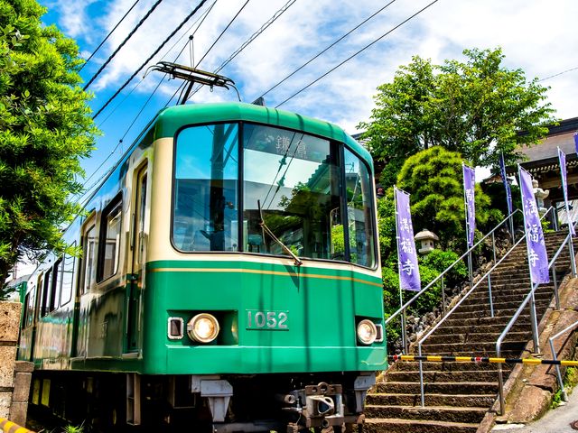 Kamakura Half-Day Tour with Local Guide