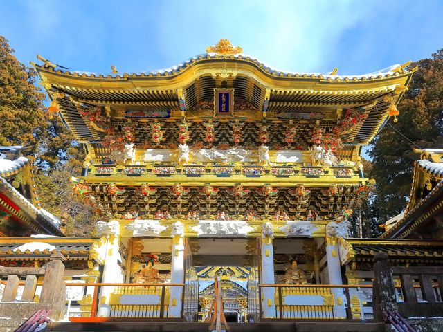 Nikko Day Trip: Toshogu Shrine and Kegon Falls with English/Chinese Guide