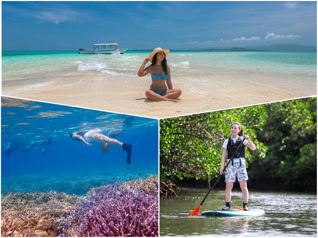 Ishigaki Mangrove SUP & Snorkeling Tour with Hamajima (Phantom Island) Landing