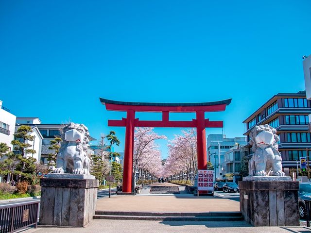 Kamakura Samurai Culture Experience Tour with Historical Insights