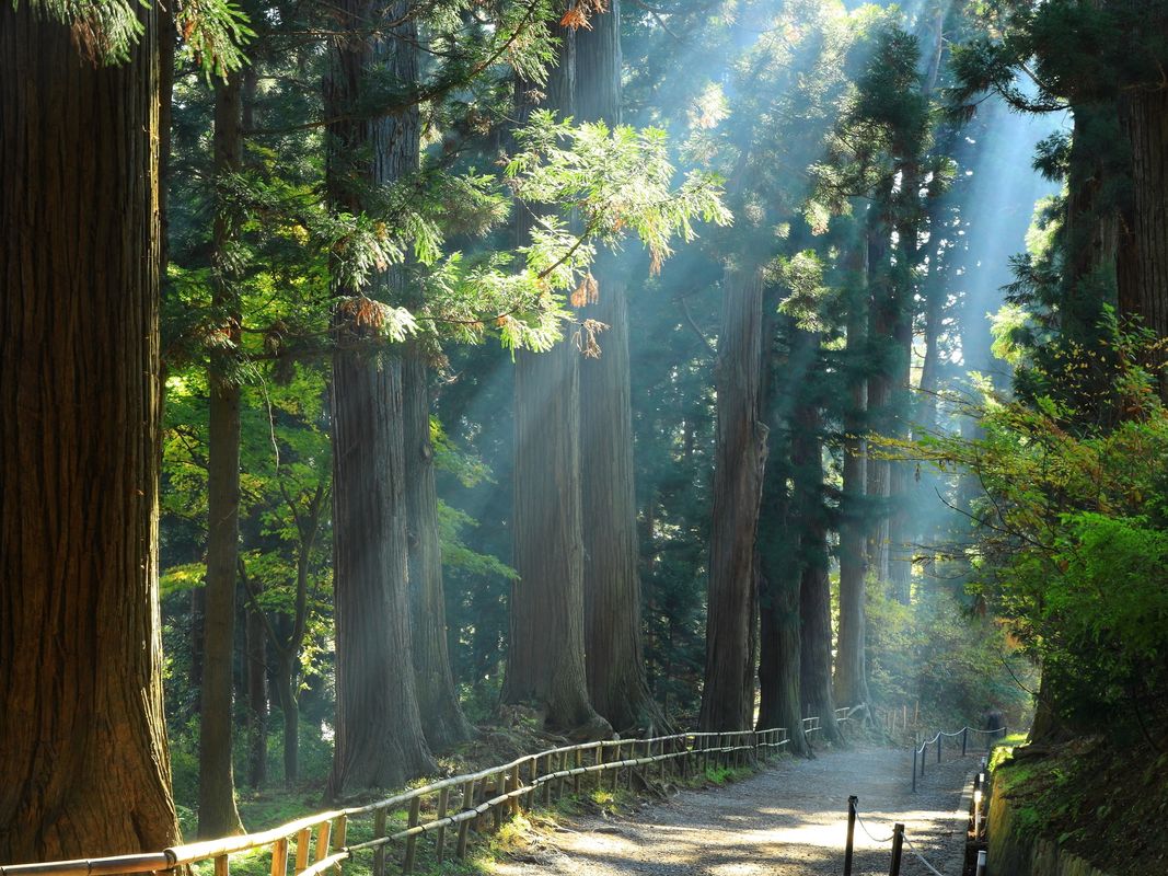 写真:貸切観光タクシー 花巻から行く!世界遺産 平泉+カッパ伝説の遠野+宮沢賢治記念館コース 中尊寺+毛越寺+遠野のカッパ淵etc. <6.5時間/花巻発⇒一関着>