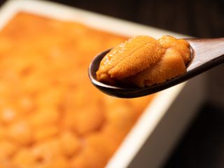 プラン説明写真1