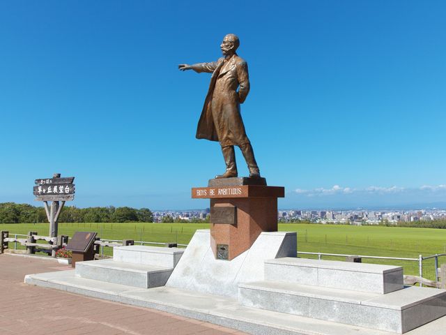 Sapporo Half-Day Bus Tour to Ski Jump Stadium and Hitsujigaoka Observation Hill